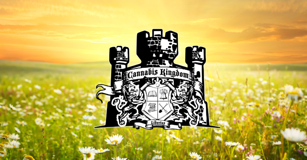 Unleash Your Summer Adventures